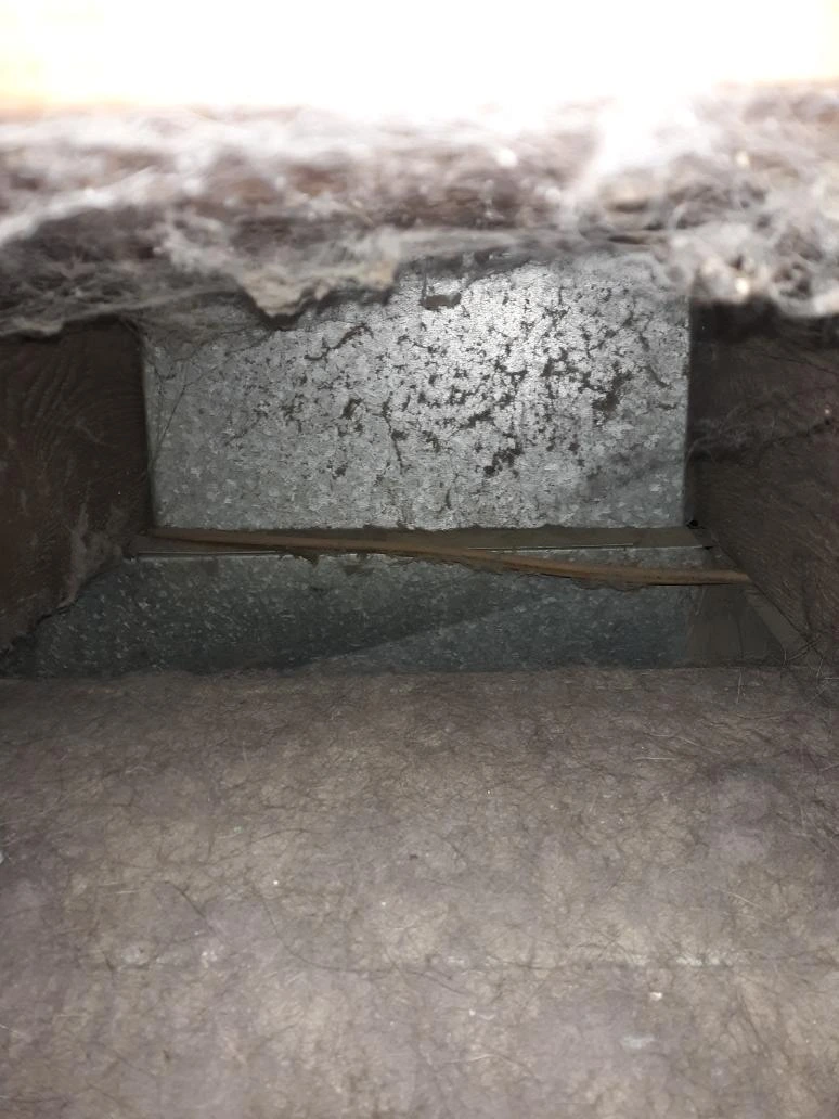 Dirty Air Duct